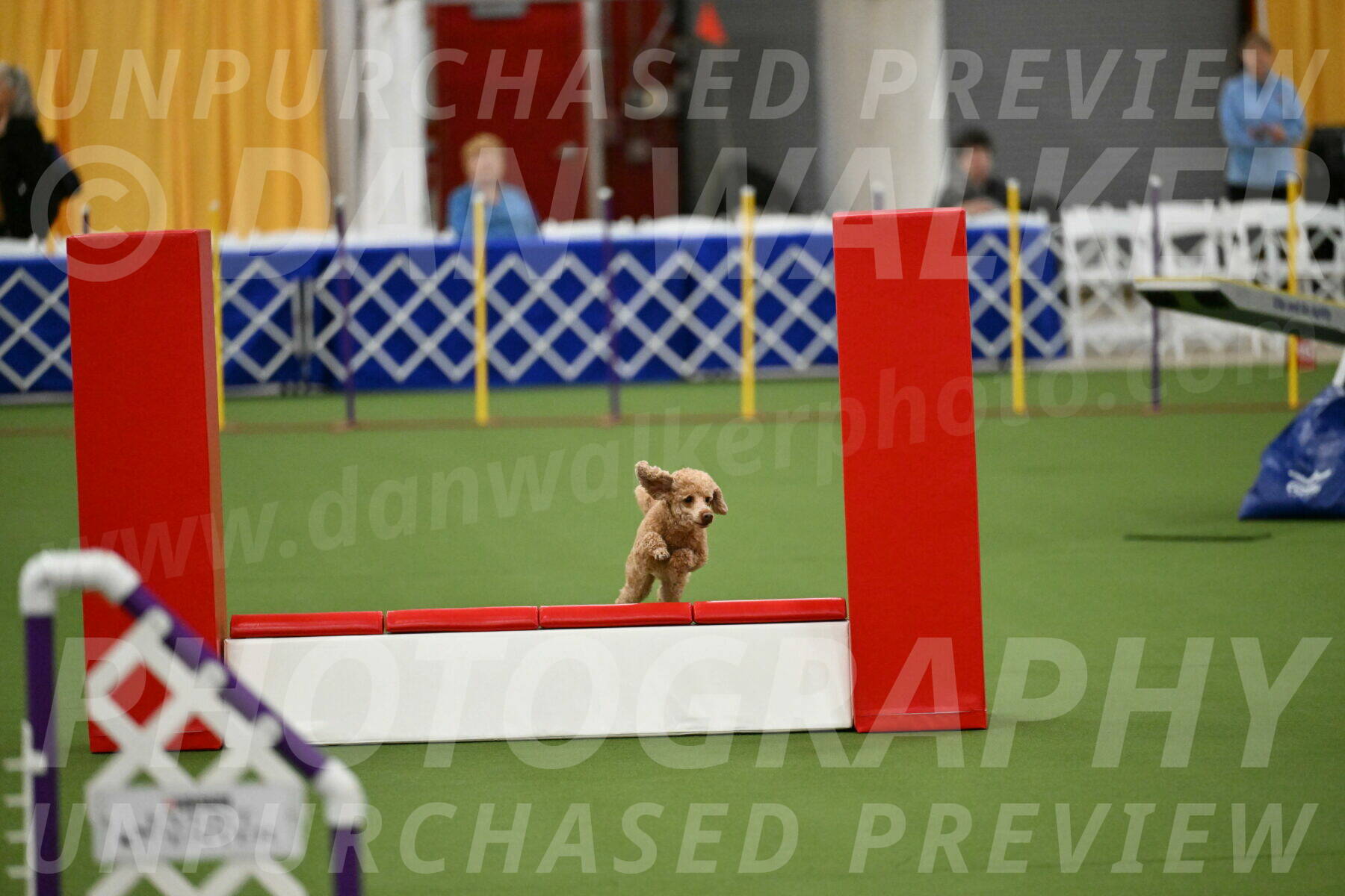 MAS-EX-STD-12-Inch_5119