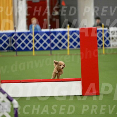 MAS-EX-STD-12-Inch_5119