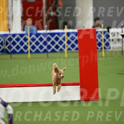 MAS-EX-STD-12-Inch_5120