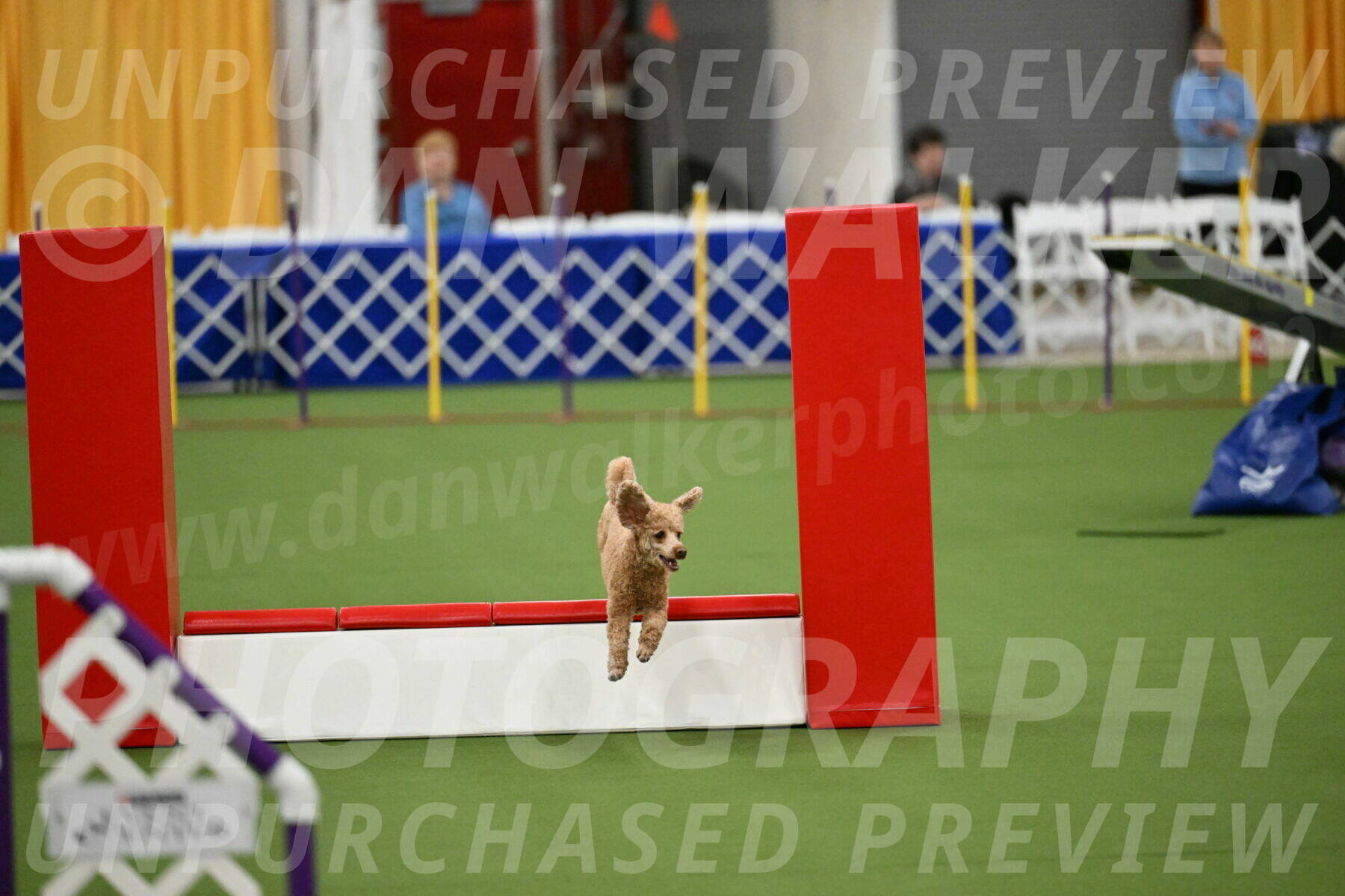 MAS-EX-STD-12-Inch_5120