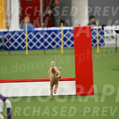 MAS-EX-STD-12-Inch_5121