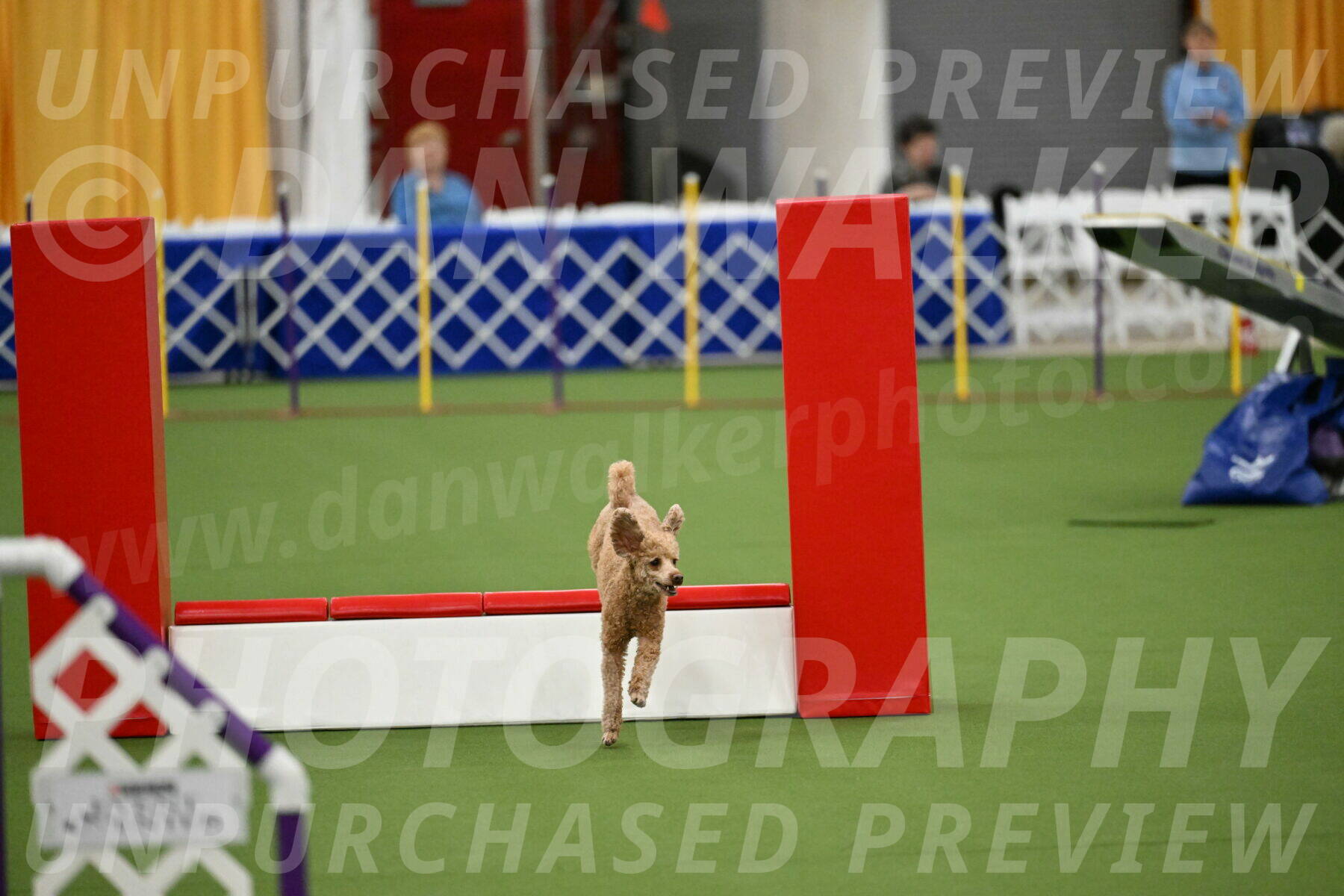 MAS-EX-STD-12-Inch_5121