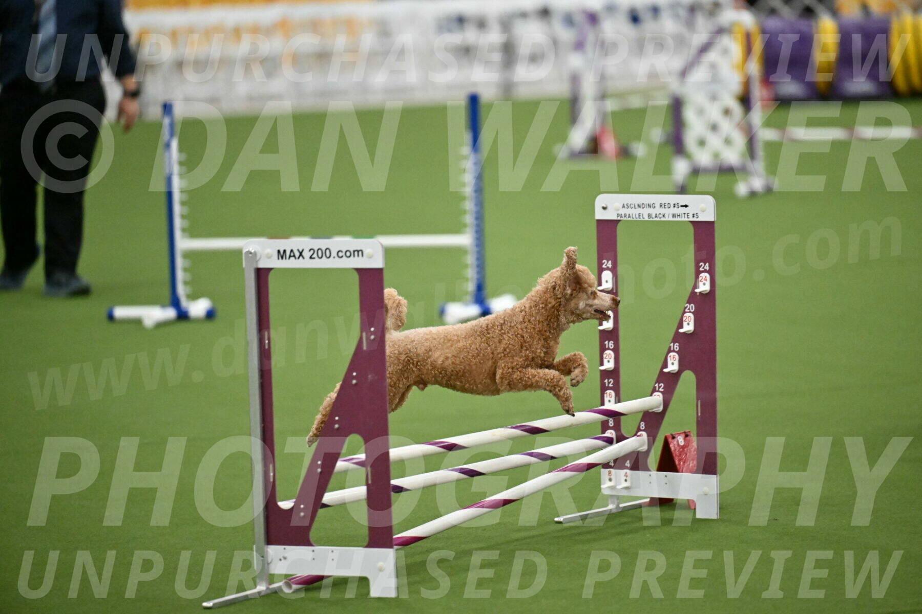 MAS-EX-STD-12-Inch_5127