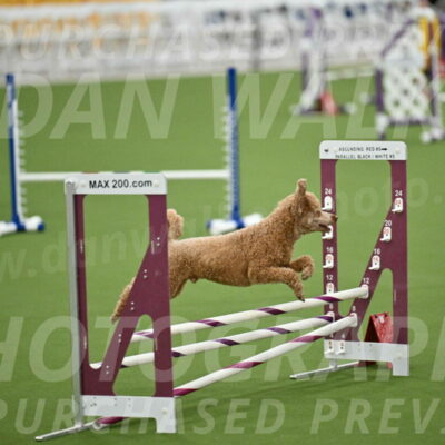 MAS-EX-STD-12-Inch_5127