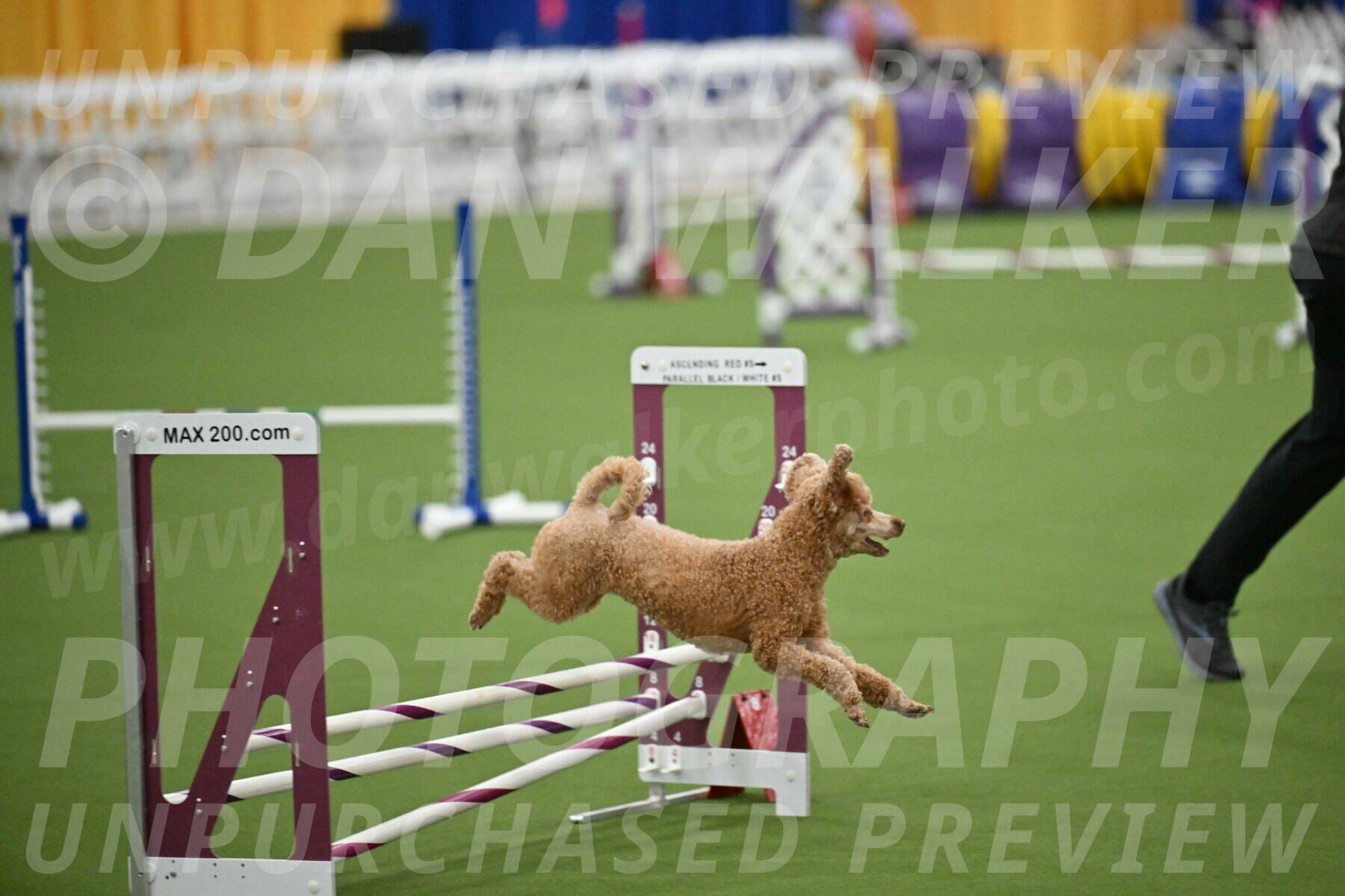 MAS-EX-STD-12-Inch_5128