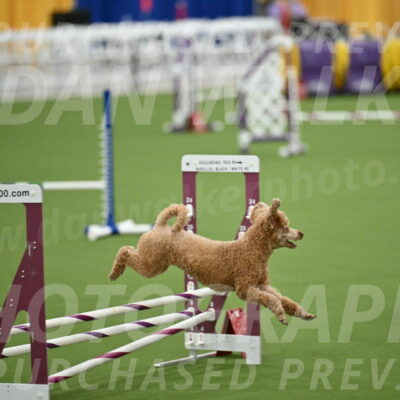 MAS-EX-STD-12-Inch_5128