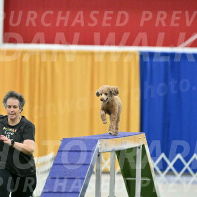 MAS-EX-STD-12-Inch_5136