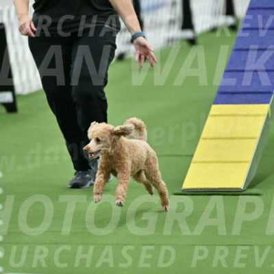 MAS-EX-STD-12-Inch_5139