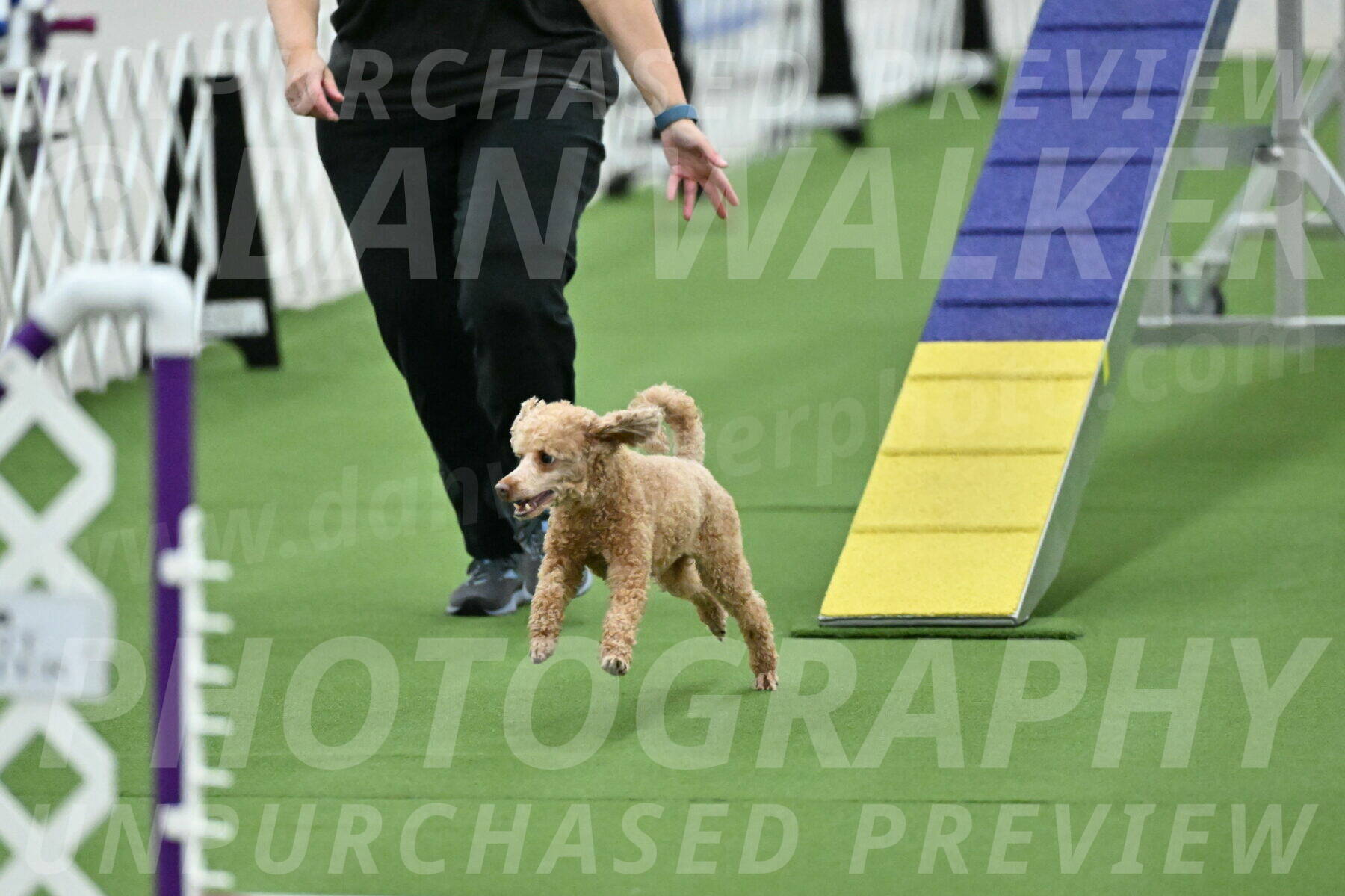 MAS-EX-STD-12-Inch_5139