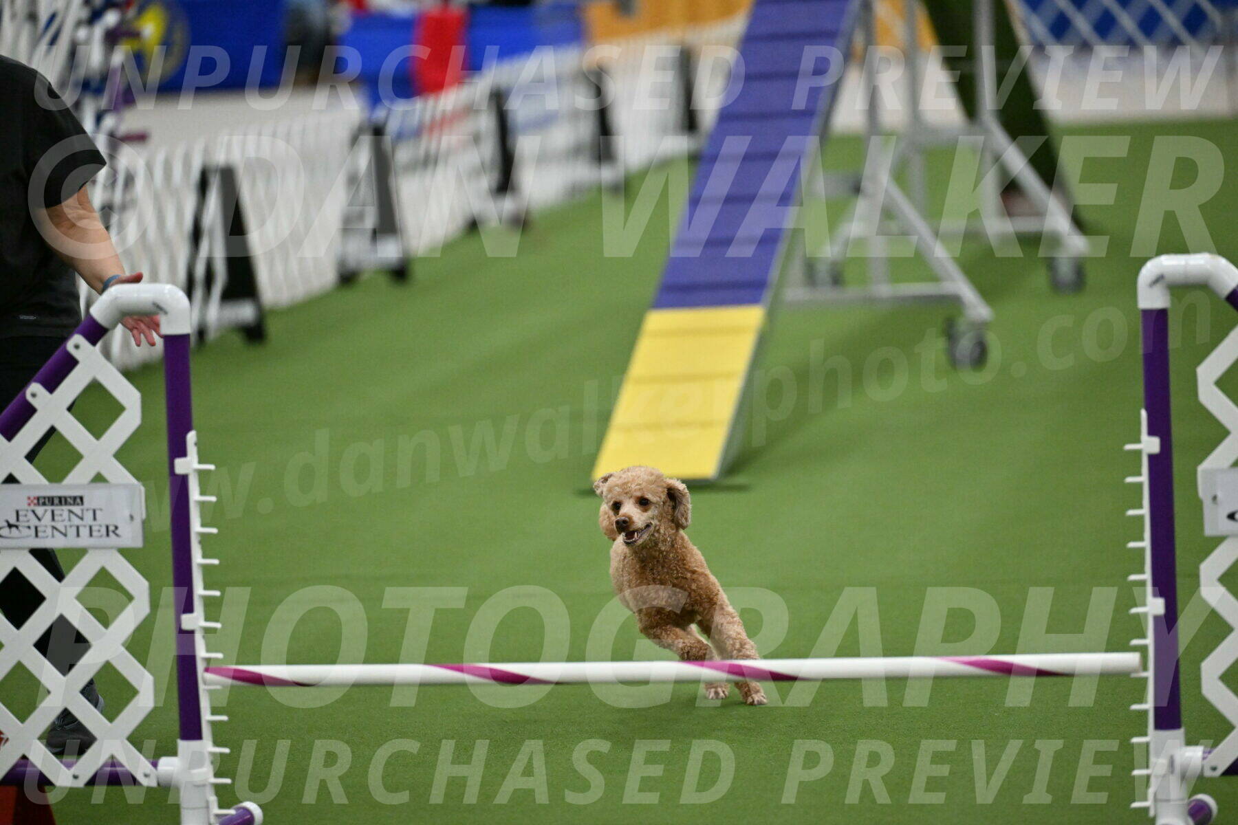 MAS-EX-STD-12-Inch_5142