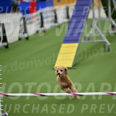 MAS-EX-STD-12-Inch_5142