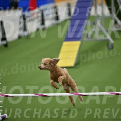 MAS-EX-STD-12-Inch_5148