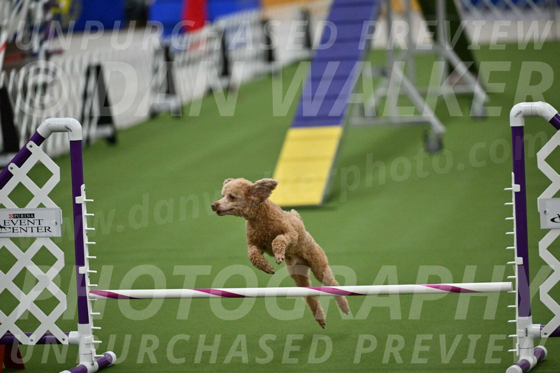 MAS-EX-STD-12-Inch_5148