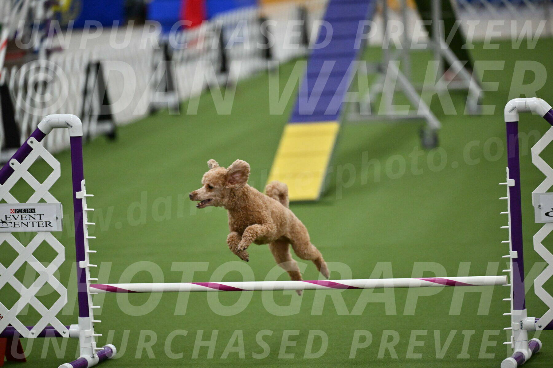 MAS-EX-STD-12-Inch_5149