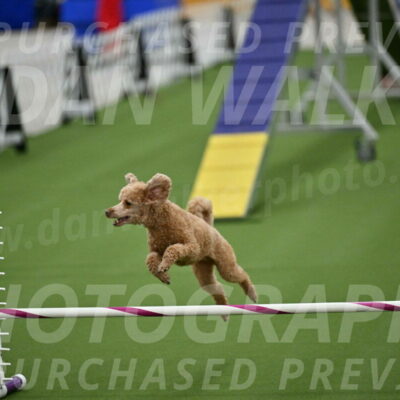 MAS-EX-STD-12-Inch_5149