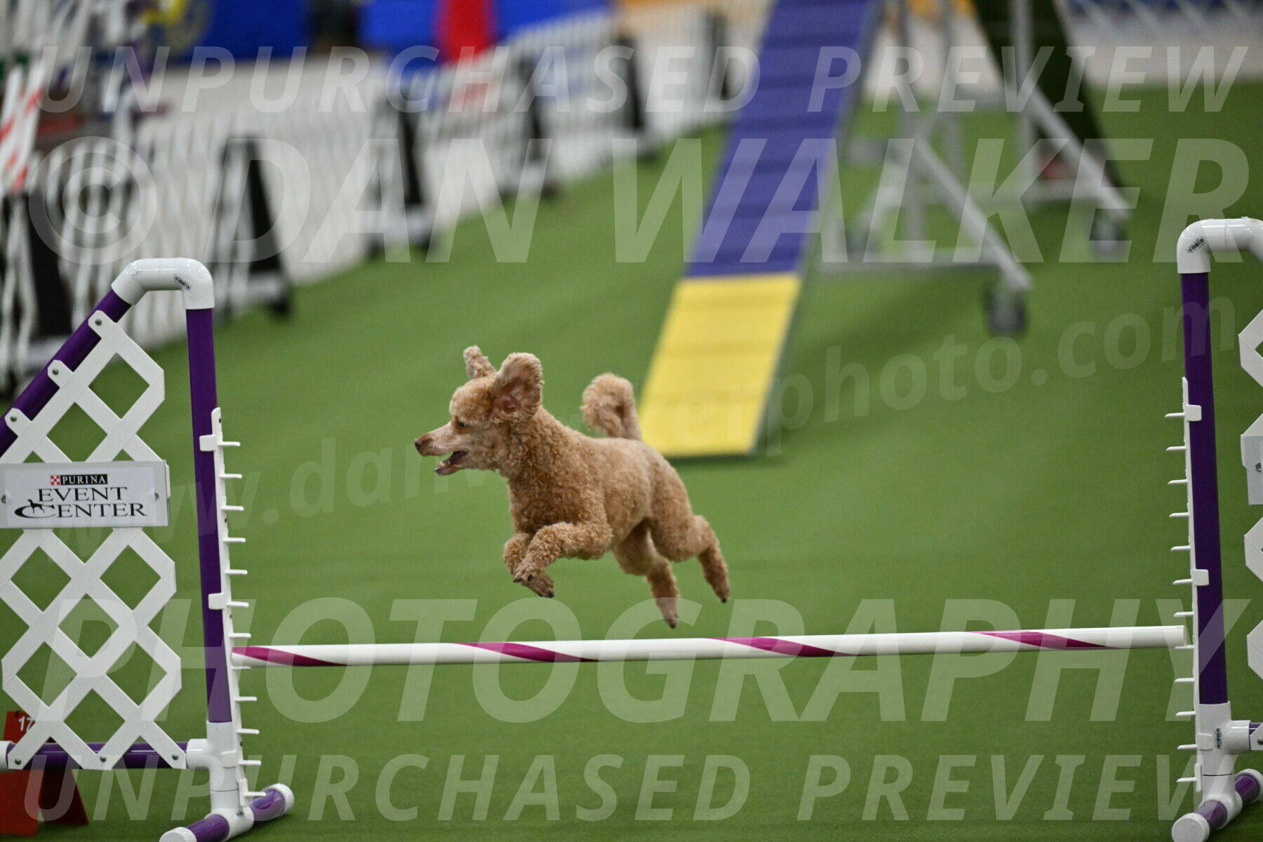 MAS-EX-STD-12-Inch_5150