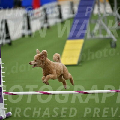 MAS-EX-STD-12-Inch_5150