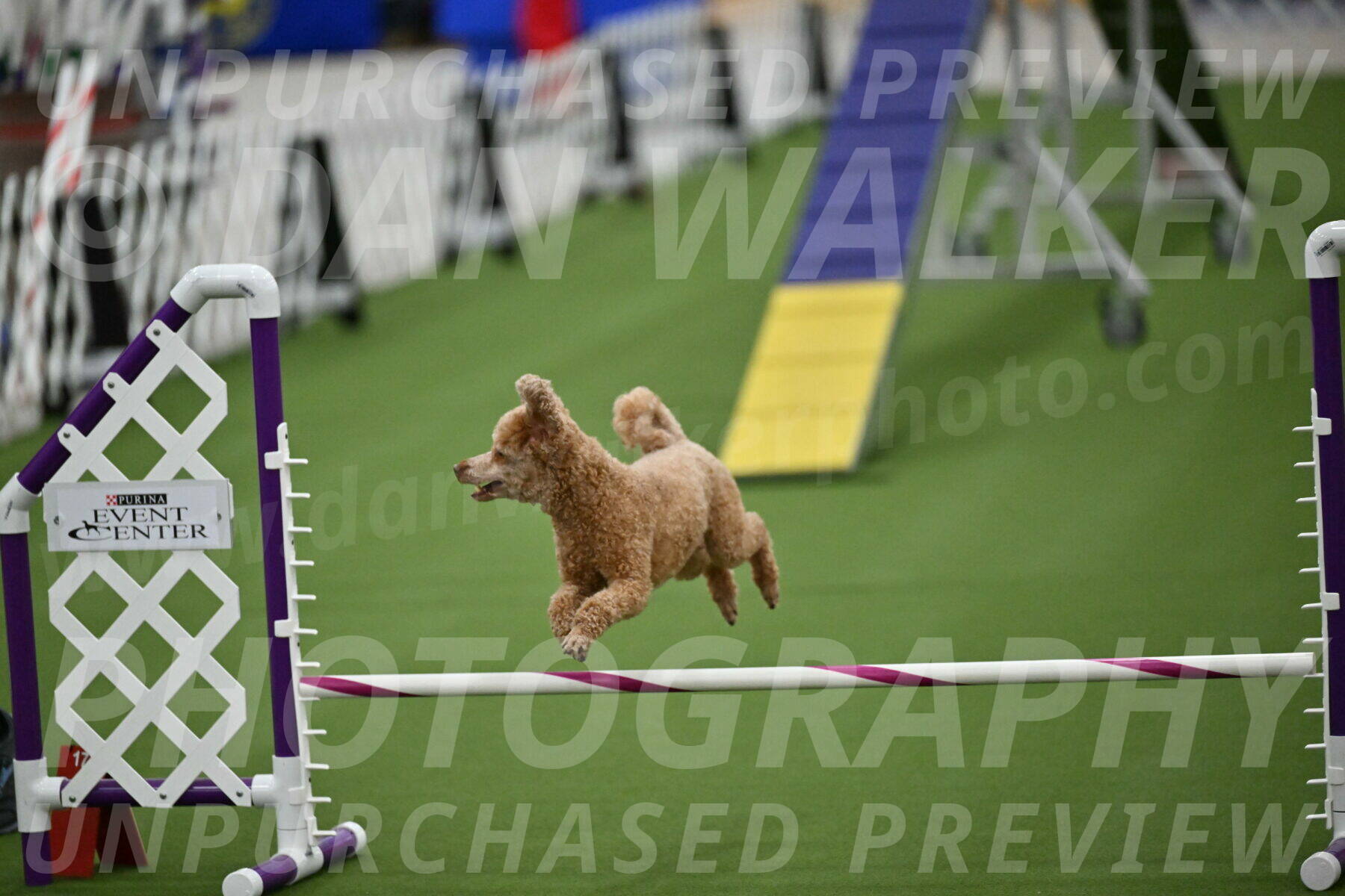 MAS-EX-STD-12-Inch_5151