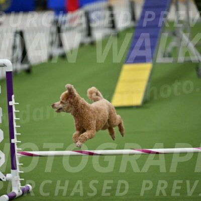 MAS-EX-STD-12-Inch_5151