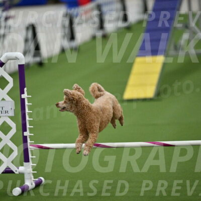 MAS-EX-STD-12-Inch_5152