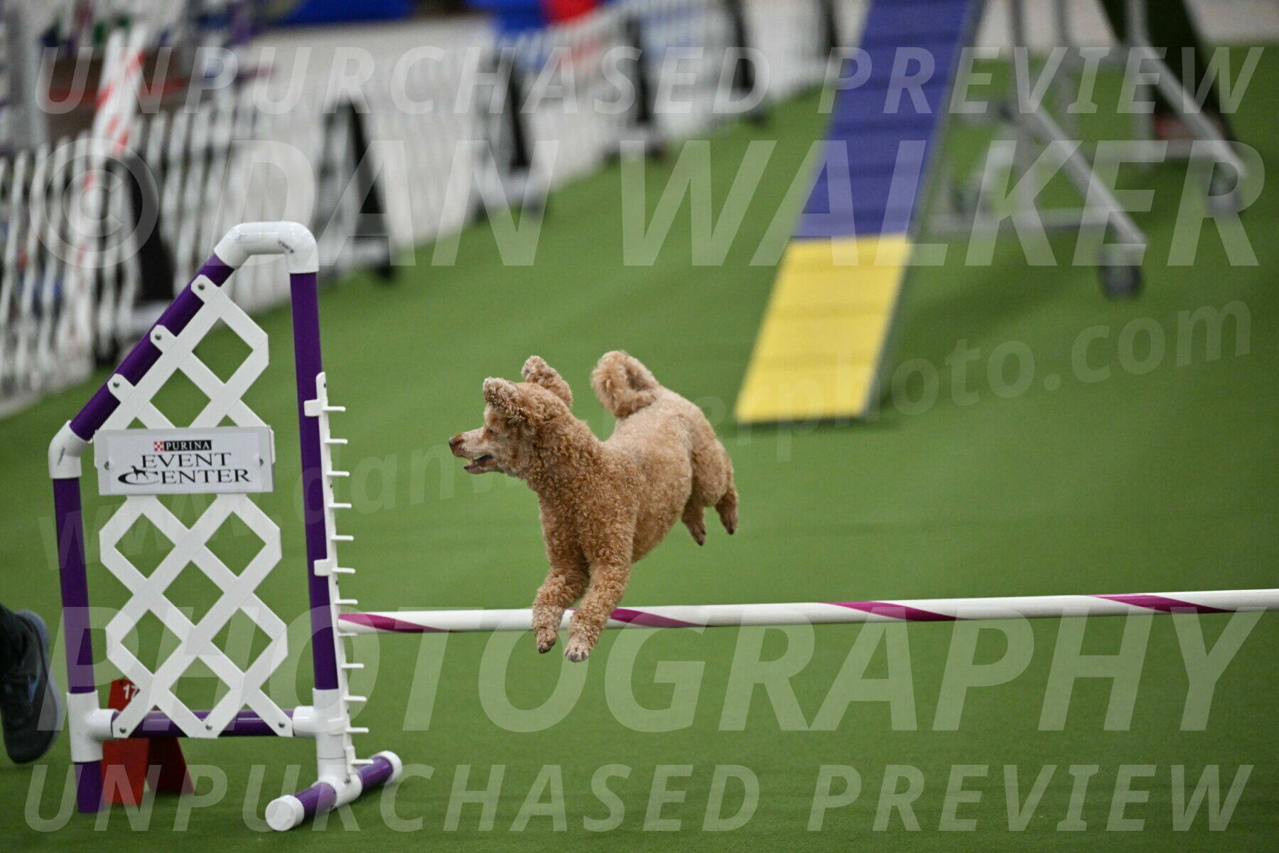 MAS-EX-STD-12-Inch_5152