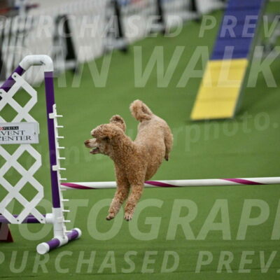 MAS-EX-STD-12-Inch_5153