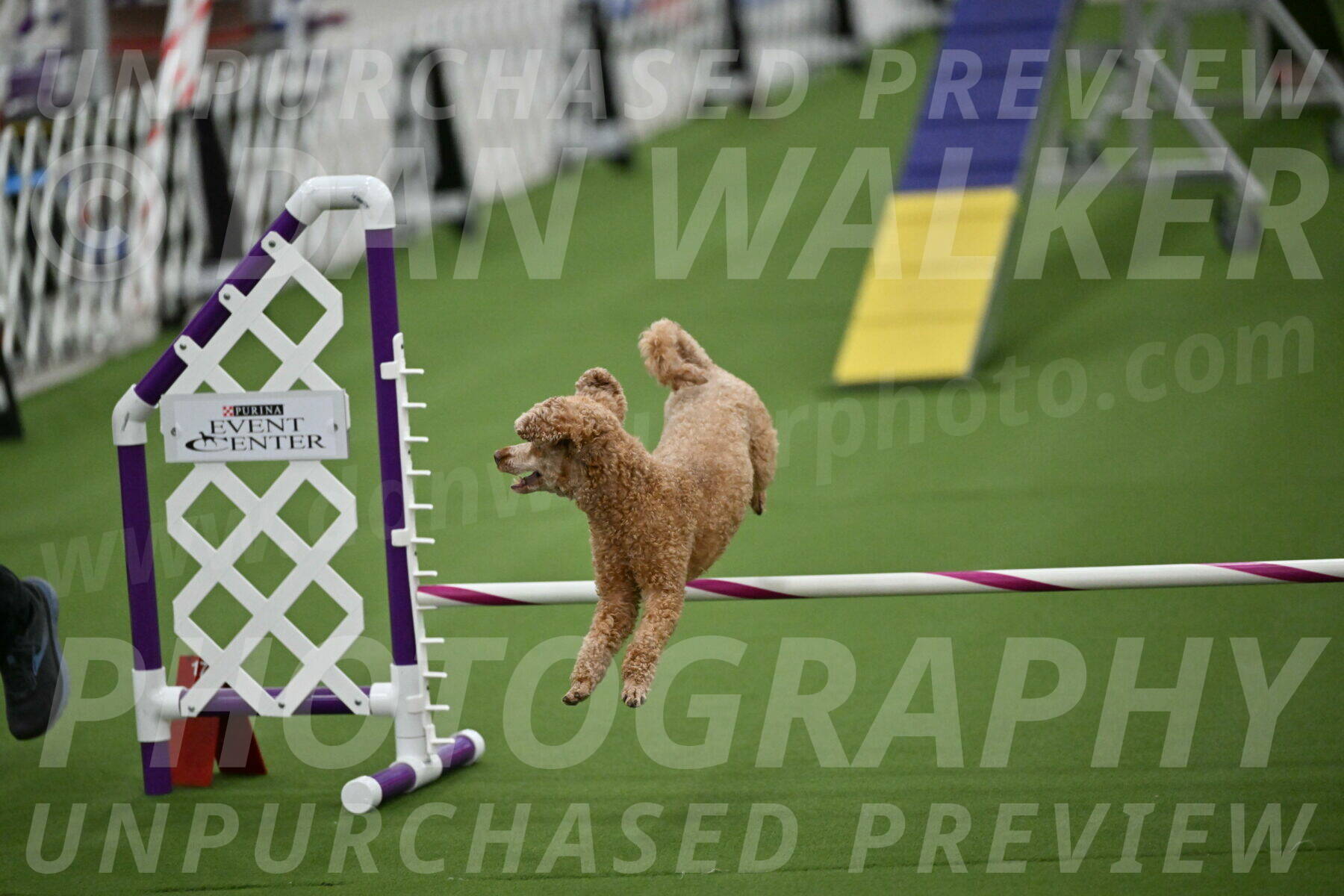 MAS-EX-STD-12-Inch_5153