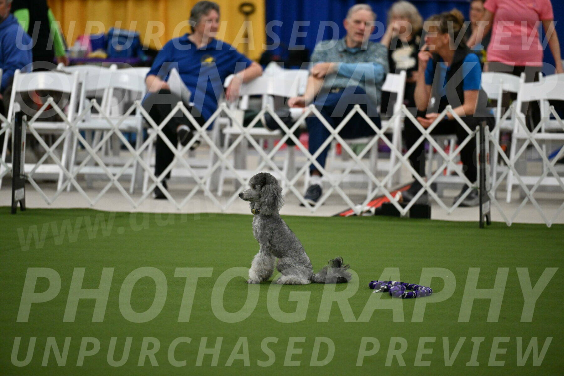 MAS-EX-STD-12-Inch_5154