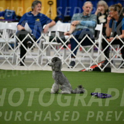 MAS-EX-STD-12-Inch_5154