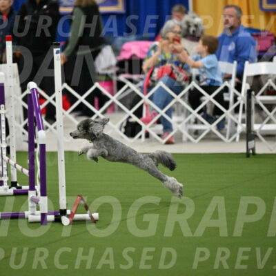 MAS-EX-STD-12-Inch_5156