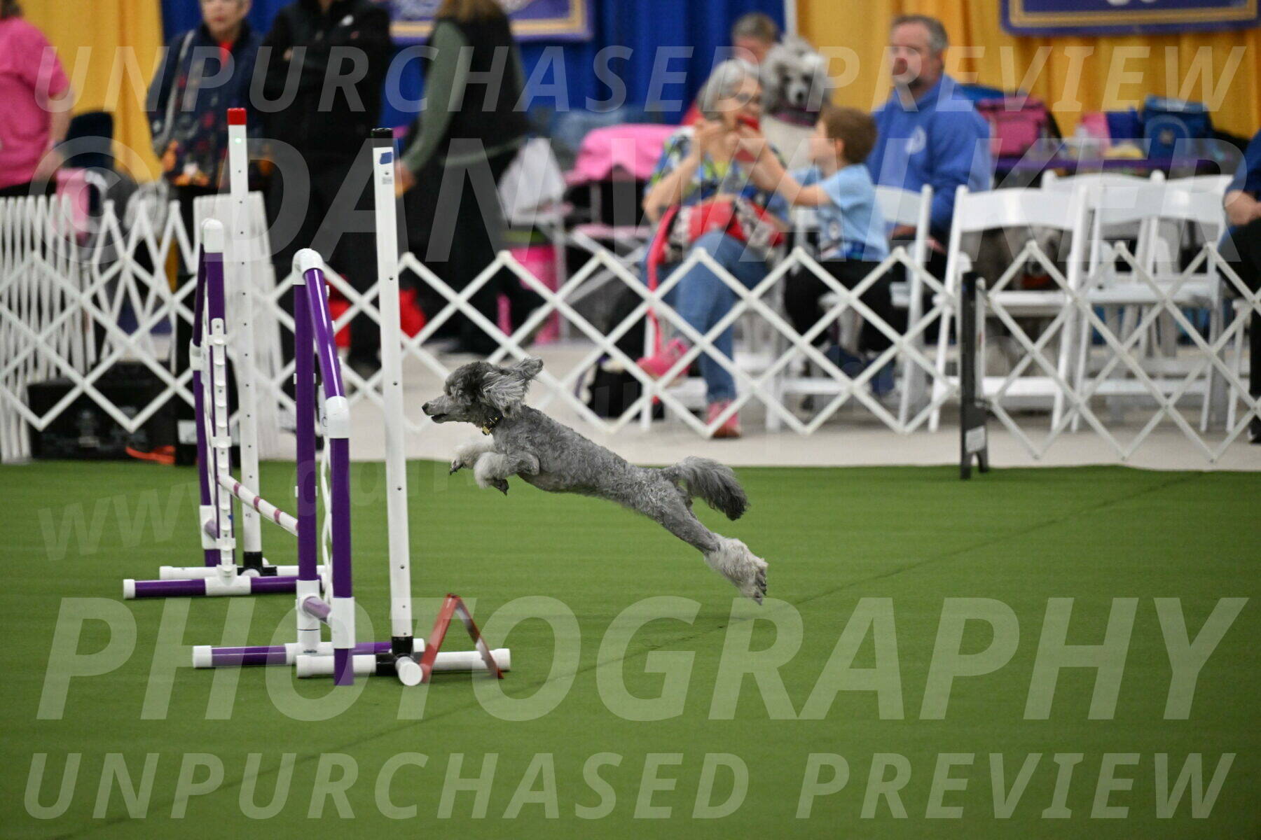 MAS-EX-STD-12-Inch_5156