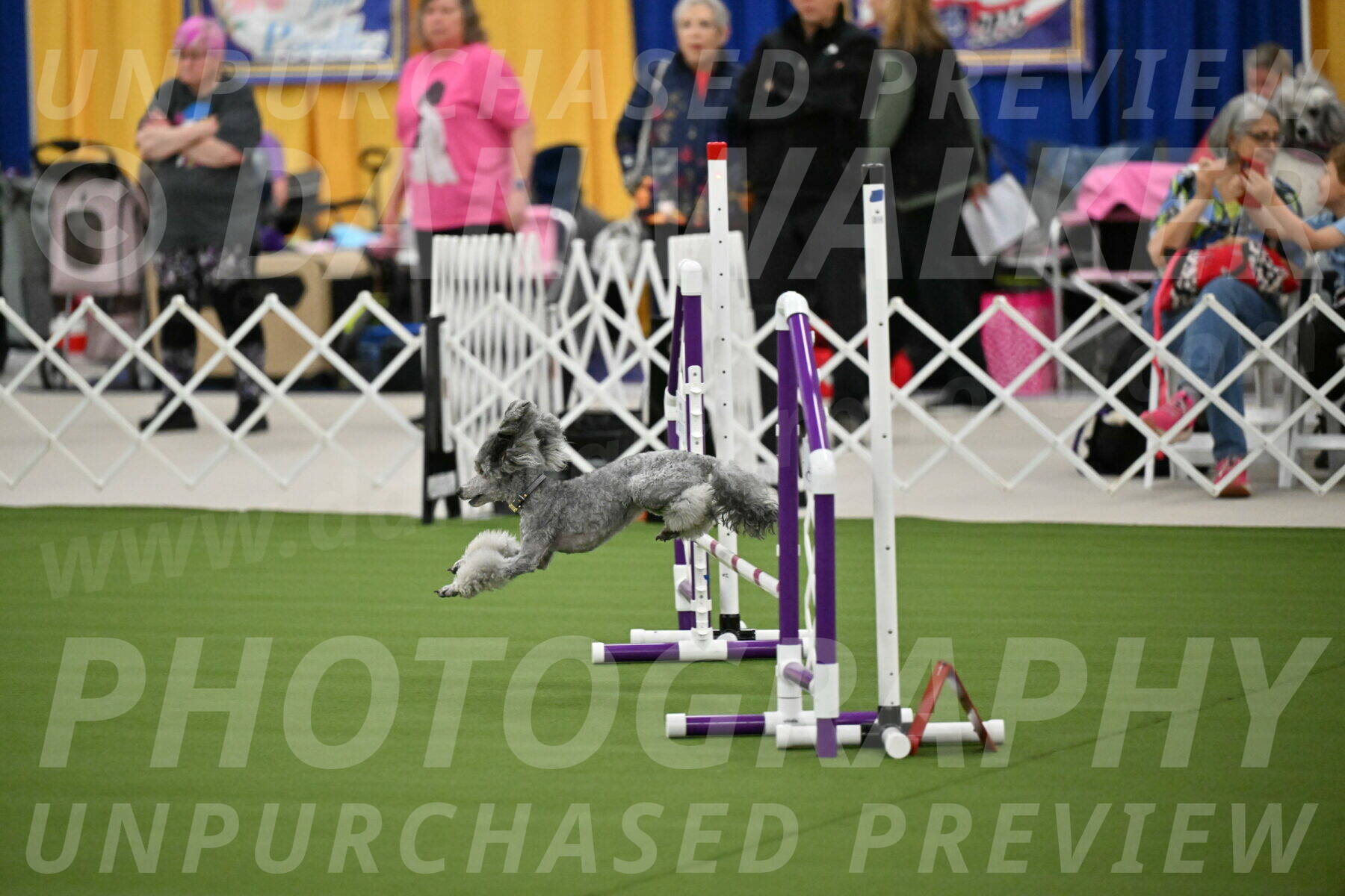 MAS-EX-STD-12-Inch_5160