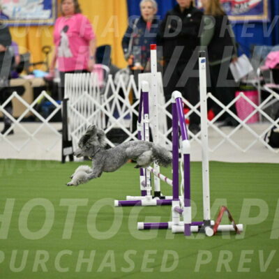 MAS-EX-STD-12-Inch_5160