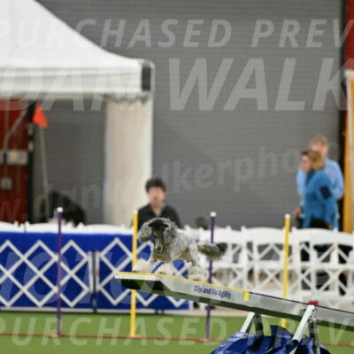 MAS-EX-STD-12-Inch_5164