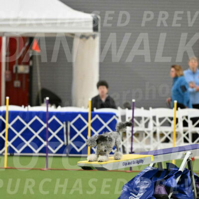 MAS-EX-STD-12-Inch_5165