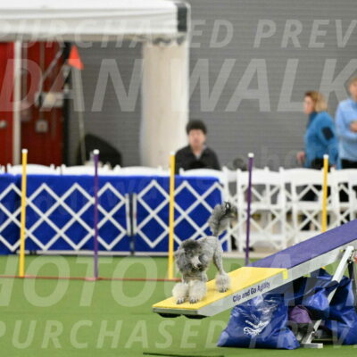 MAS-EX-STD-12-Inch_5167