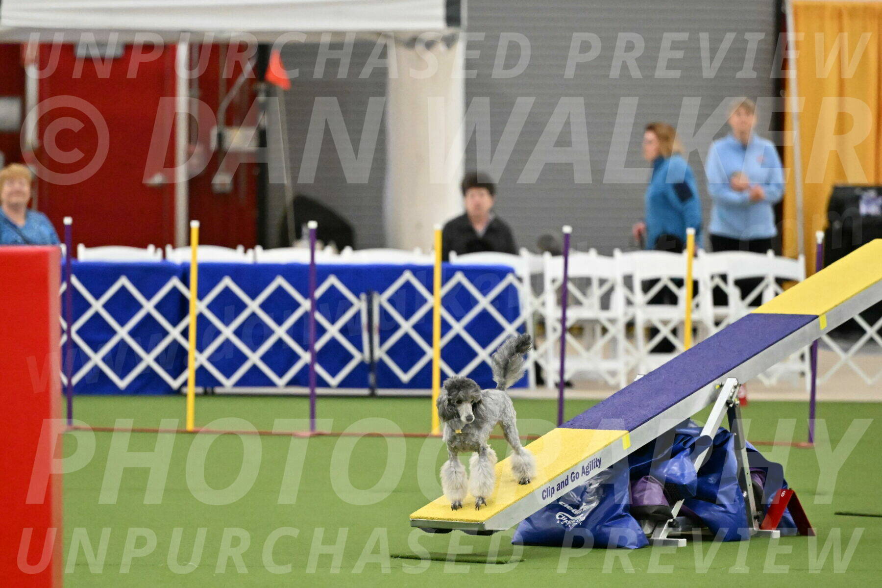 MAS-EX-STD-12-Inch_5168