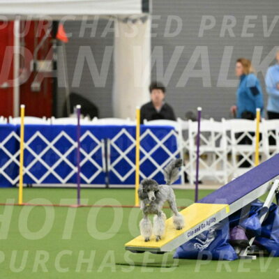 MAS-EX-STD-12-Inch_5168