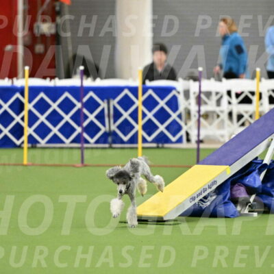 MAS-EX-STD-12-Inch_5170