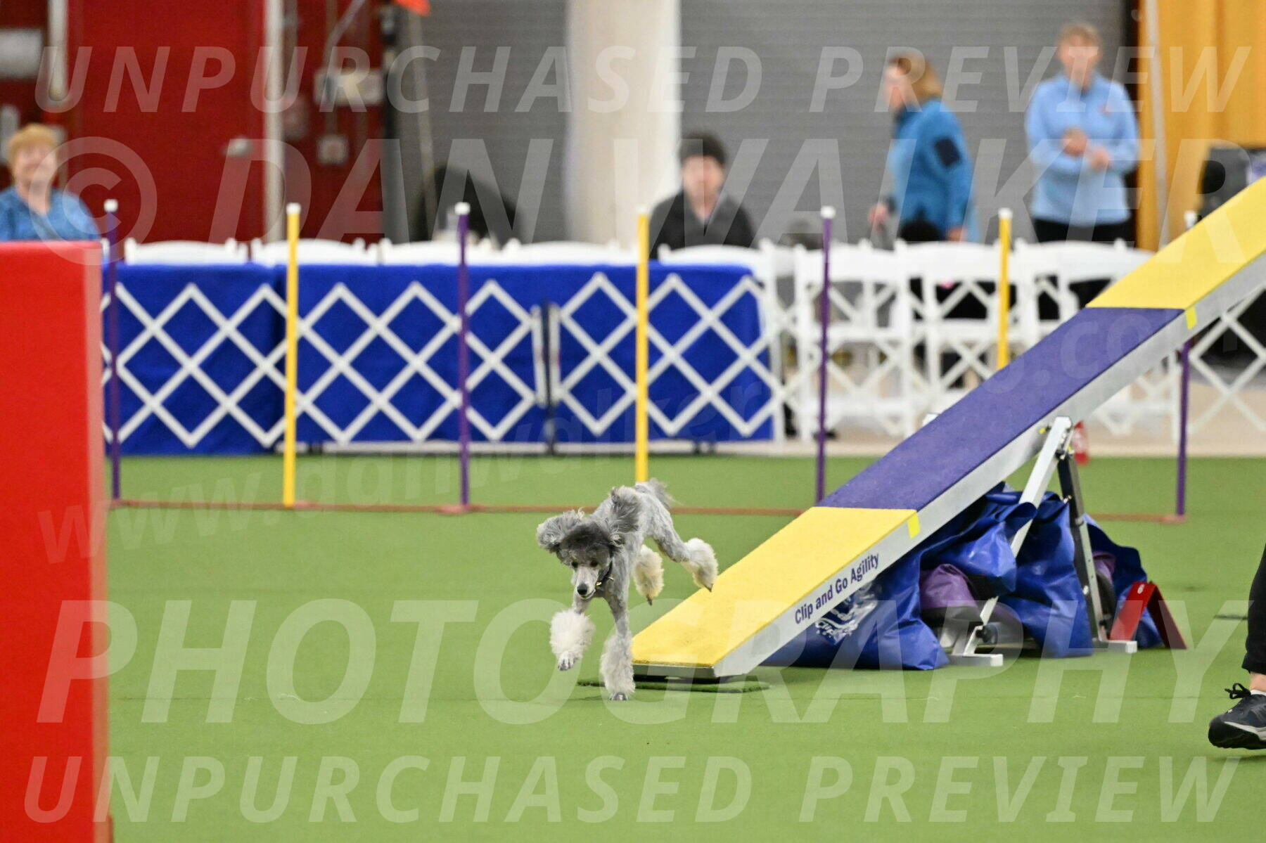 MAS-EX-STD-12-Inch_5170