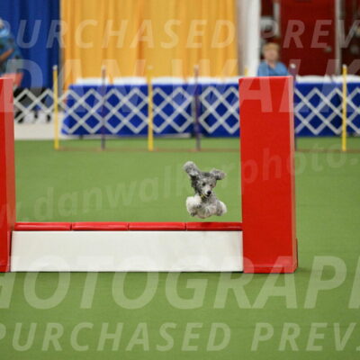 MAS-EX-STD-12-Inch_5174