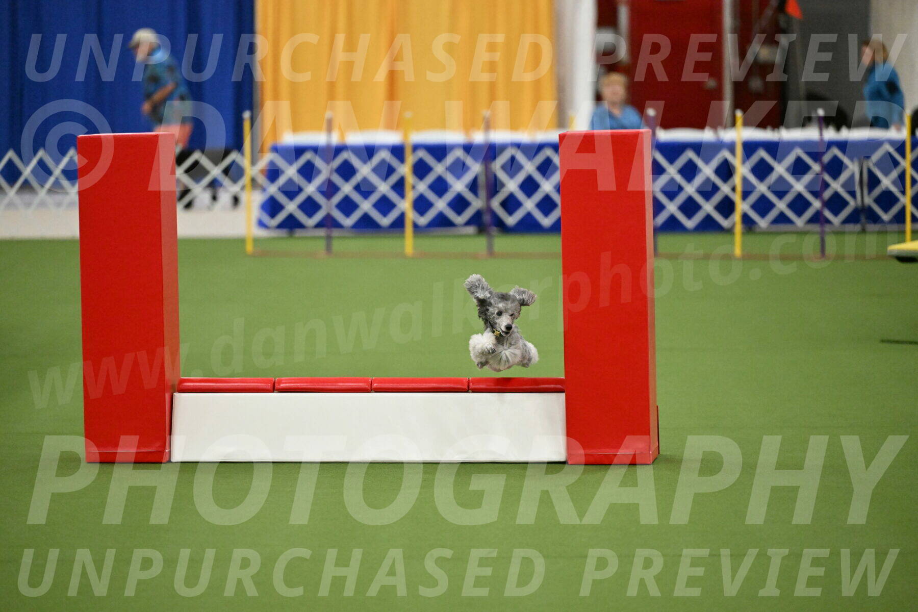 MAS-EX-STD-12-Inch_5174