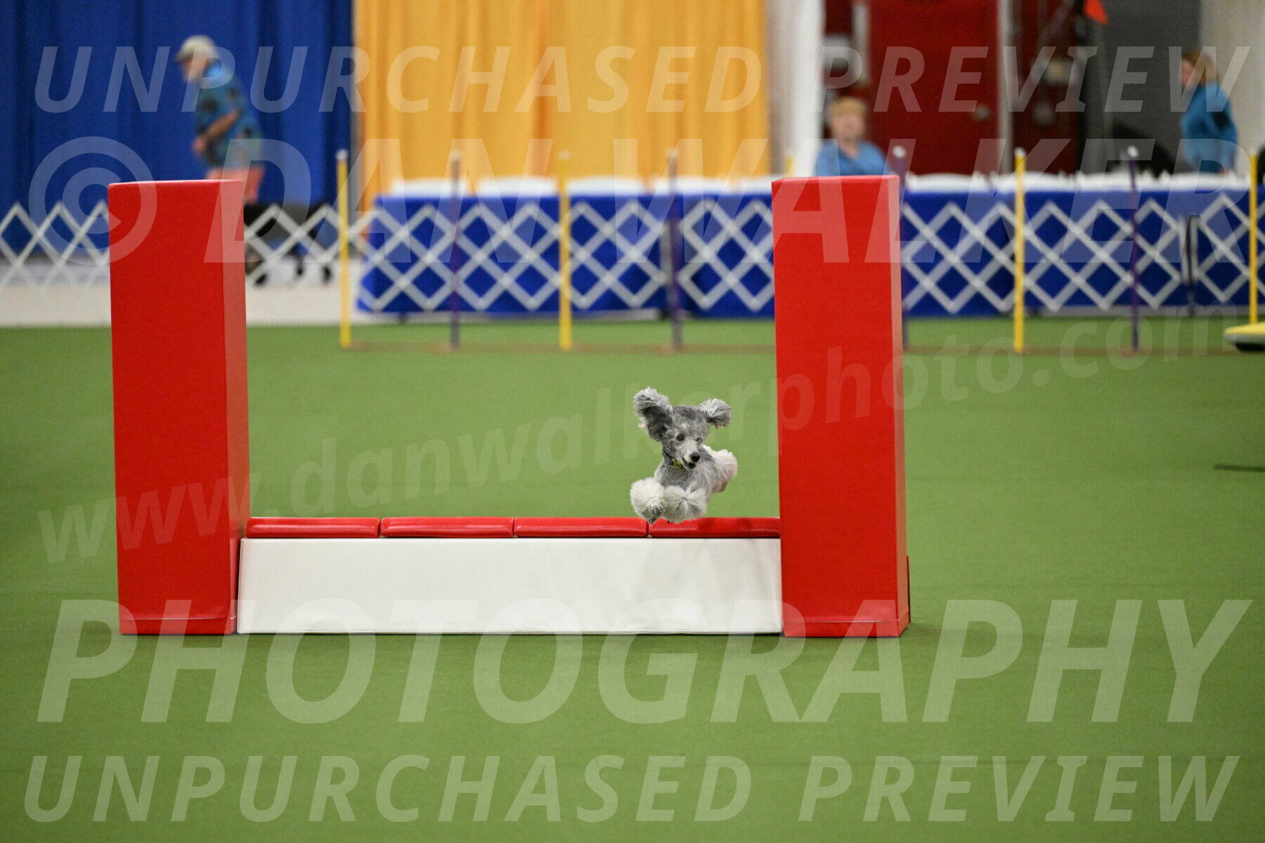 MAS-EX-STD-12-Inch_5175