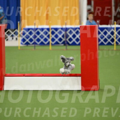 MAS-EX-STD-12-Inch_5175