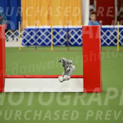 MAS-EX-STD-12-Inch_5176