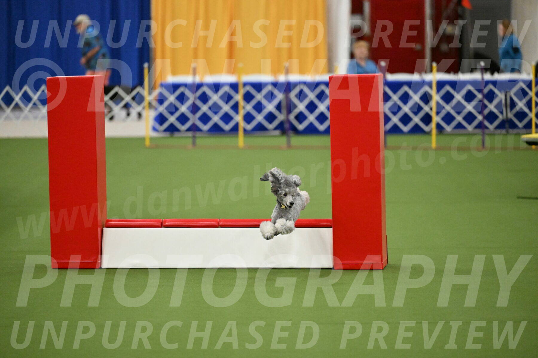 MAS-EX-STD-12-Inch_5176