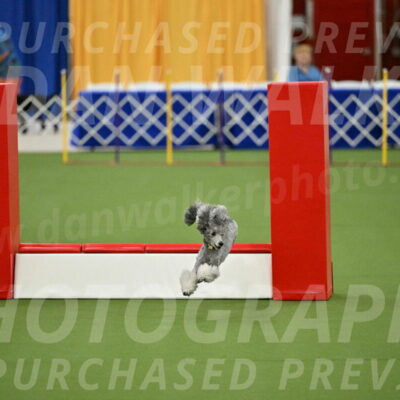 MAS-EX-STD-12-Inch_5177