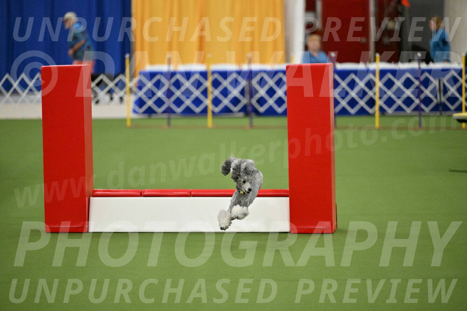 MAS-EX-STD-12-Inch_5177