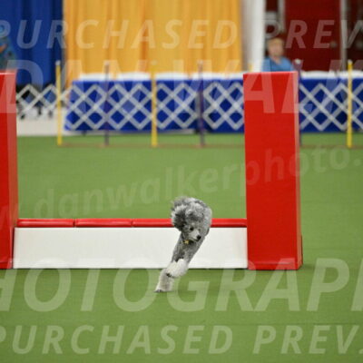 MAS-EX-STD-12-Inch_5178