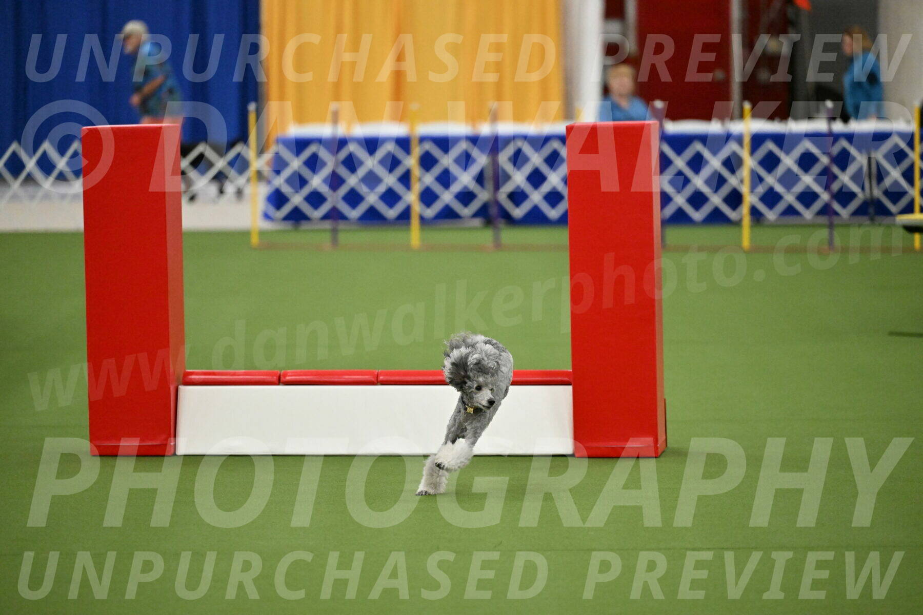 MAS-EX-STD-12-Inch_5178